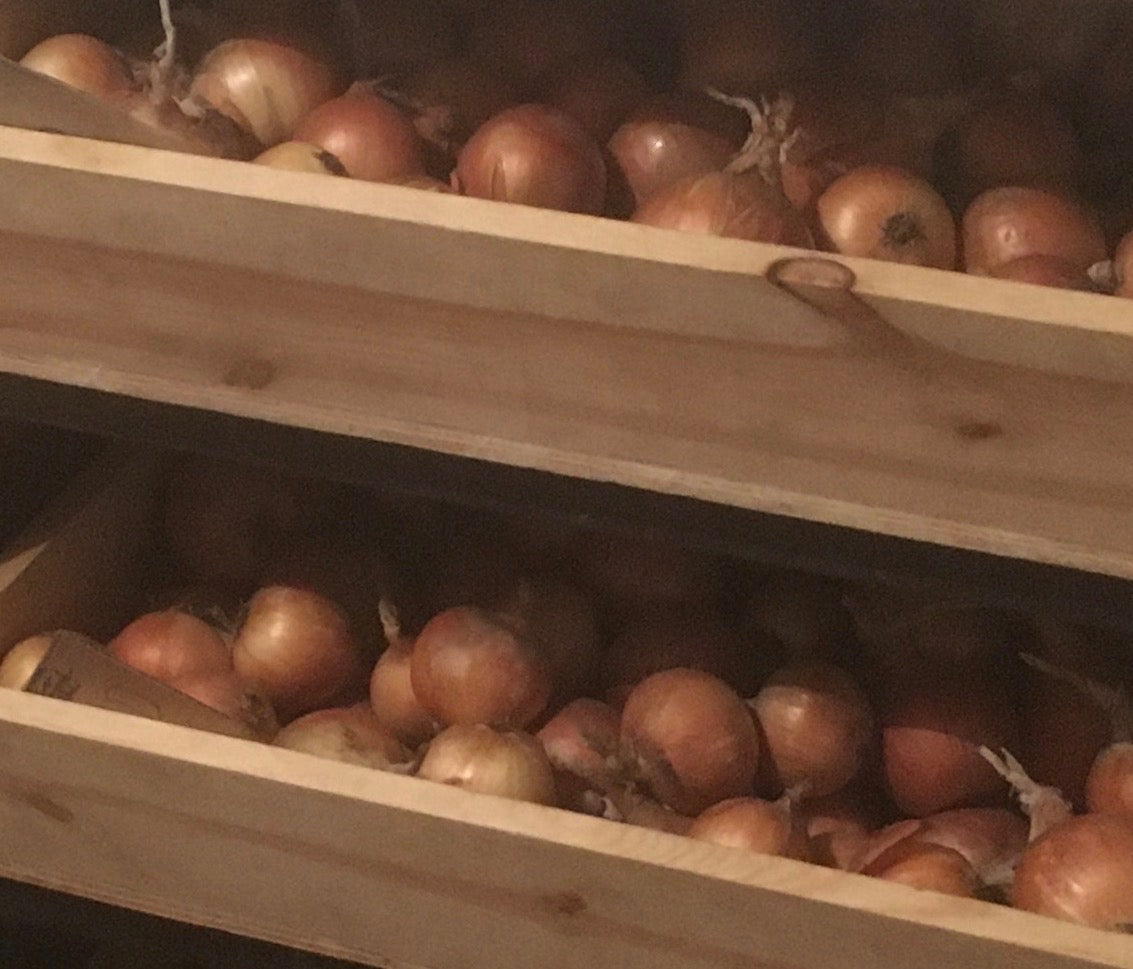 Onion Storage 