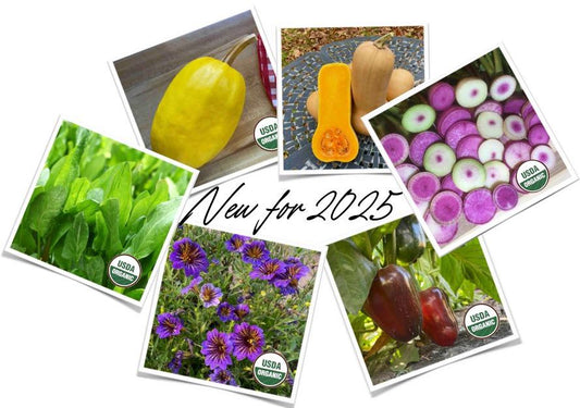 New Year, New Catalog, and New Offerings for a New Growing Season