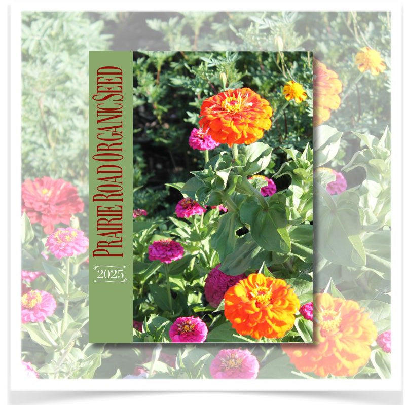 Picture of Prairie Road Organic Seed's 2025 catalog featuring sunny California Giant zinnia's on the cover photo.